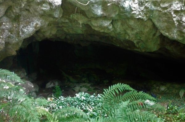 regcantabrorum's tweet photo. Nuestra cueva nro. 30  y el yacimiento/pieza nro 215 #WTF del portal #RegioRuta  😲 tiene un nombre peculiar y está en #Lamason #Cantabria 💢 ¿Sabes cual es? Una pista: 🐷🐷 https://t.co/iVdt7WHcOG https://t.co/qneikwQQTC