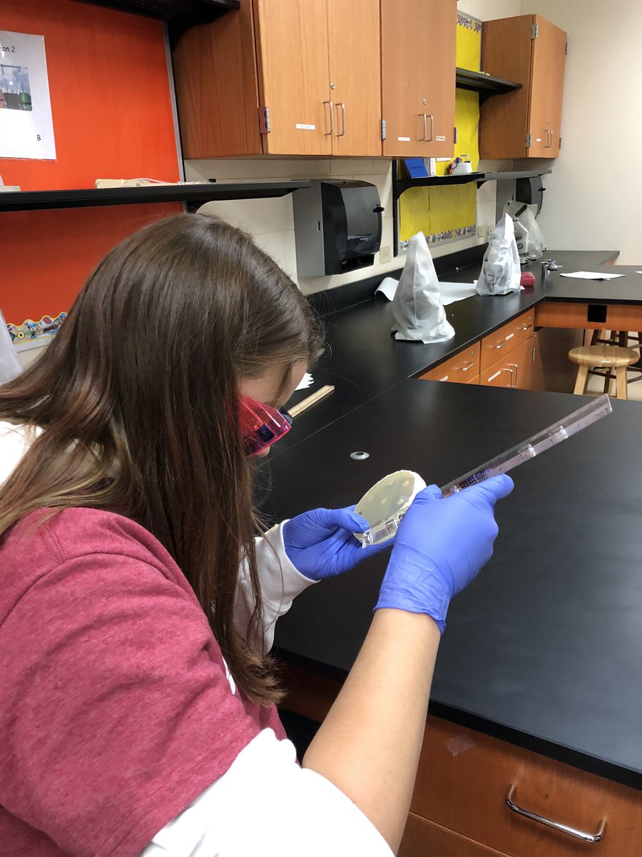 jochl's tweet photo. Medical Interventions students are determining which antibiotic works best. @PLTWorg @wilmotuhs #InspiredbyWilmot https://t.co/iK8LloIAFk