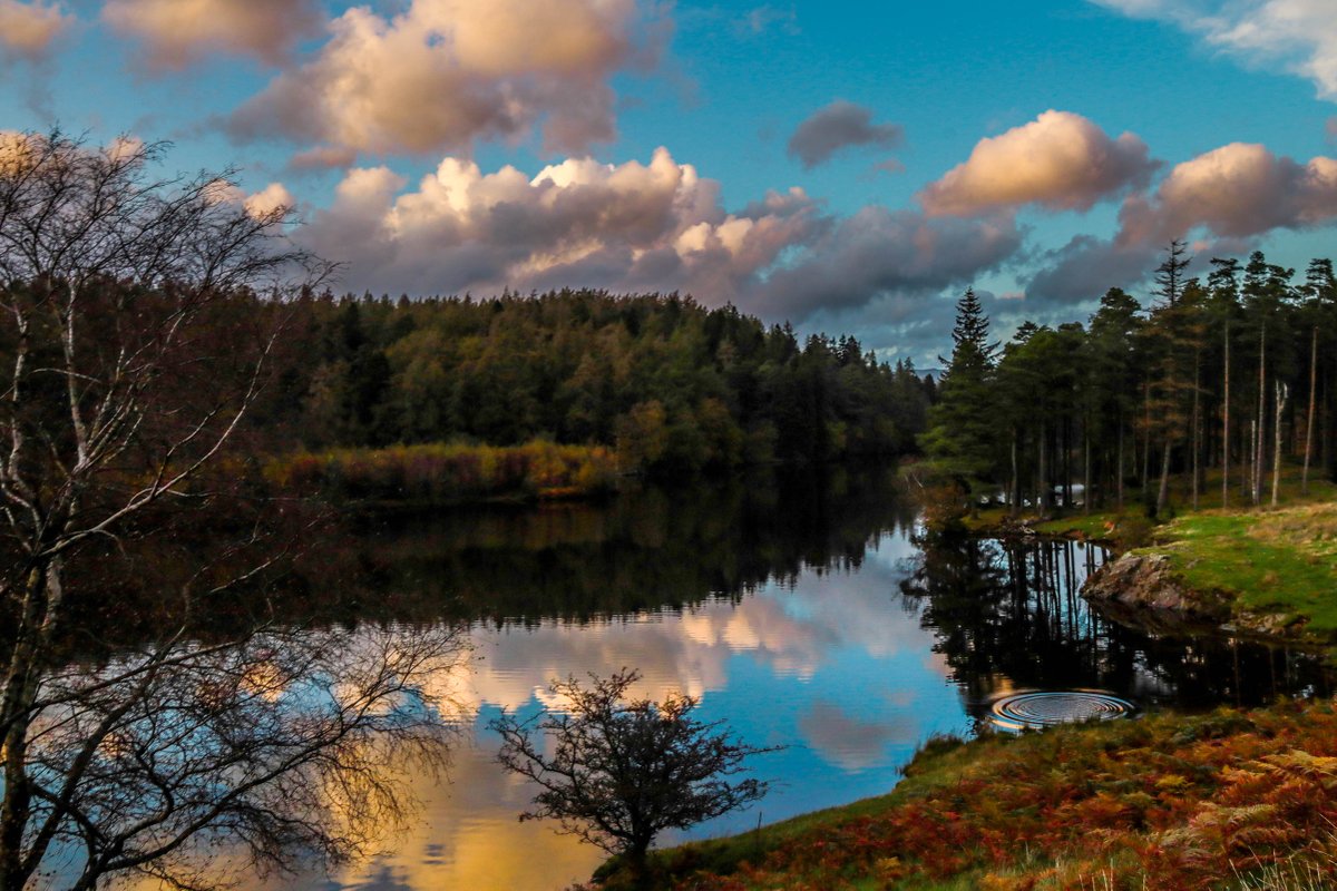 A reflective walk at Tarn Hows and Coniston revives the spirit and reveals the true colours of autumn. #PlacesMatter

Photo: Judith M, @NTlakedistrict