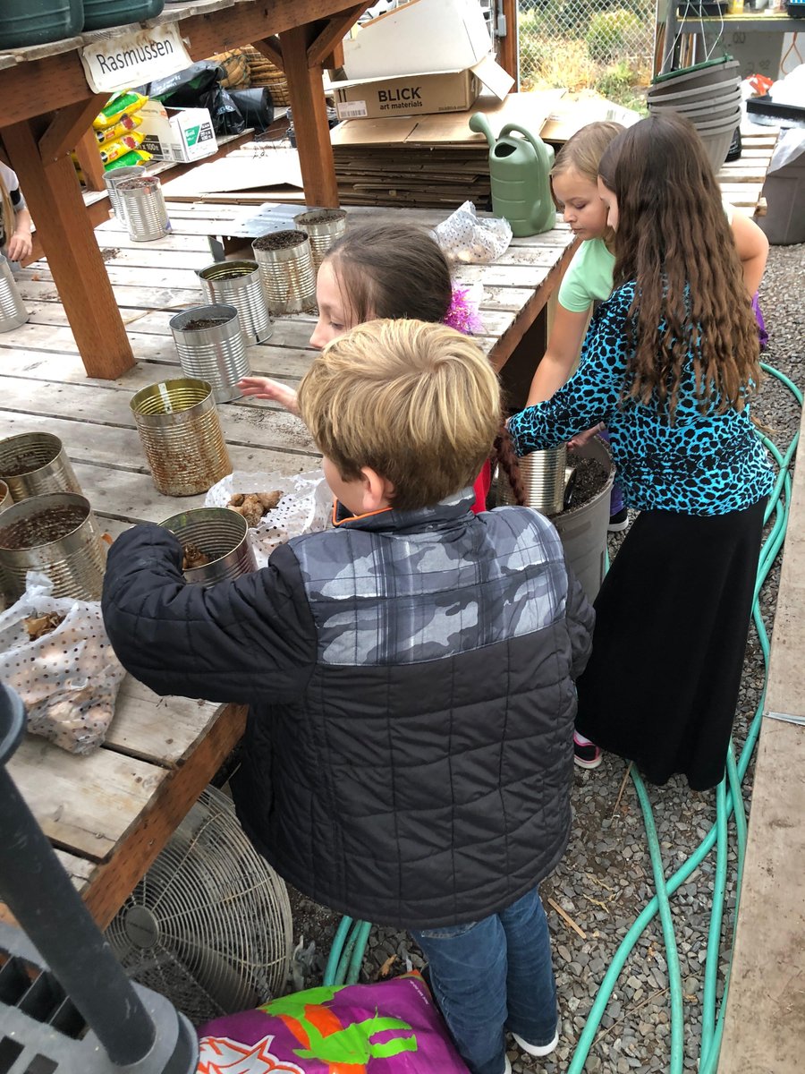CdaSchools's tweet photo. The Green Thumb Club at Hayden Meadows prepares for spring. Wednesday they planted 900 daffodils &amp; tulip bulbs. These flowers will bloom in Feb. and be used for measuring growth in math assignments. The tulips are then distributed to assisted living folks for Valentine’s Day. https://t.co/9FZjJ6kXWh