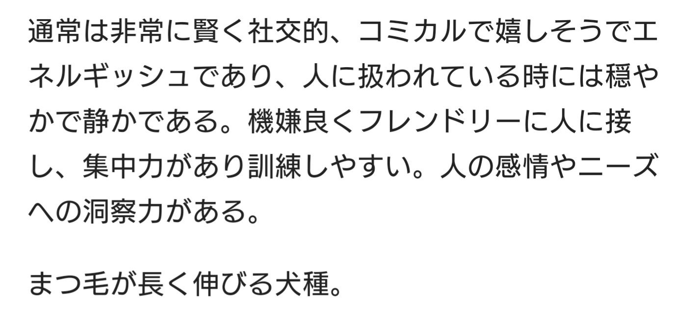 ちーでー ラブラドゥードル まつ毛が長く伸びる犬種 まつ毛 どこ 何匹 飼ってるか聞いて欲しかったな T Co Cvssf8u7et Twitter