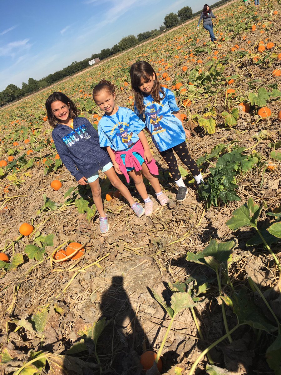 RiveraDual's tweet photo. KB having fun at the pumpkin patch! https://t.co/CITGehaIJL