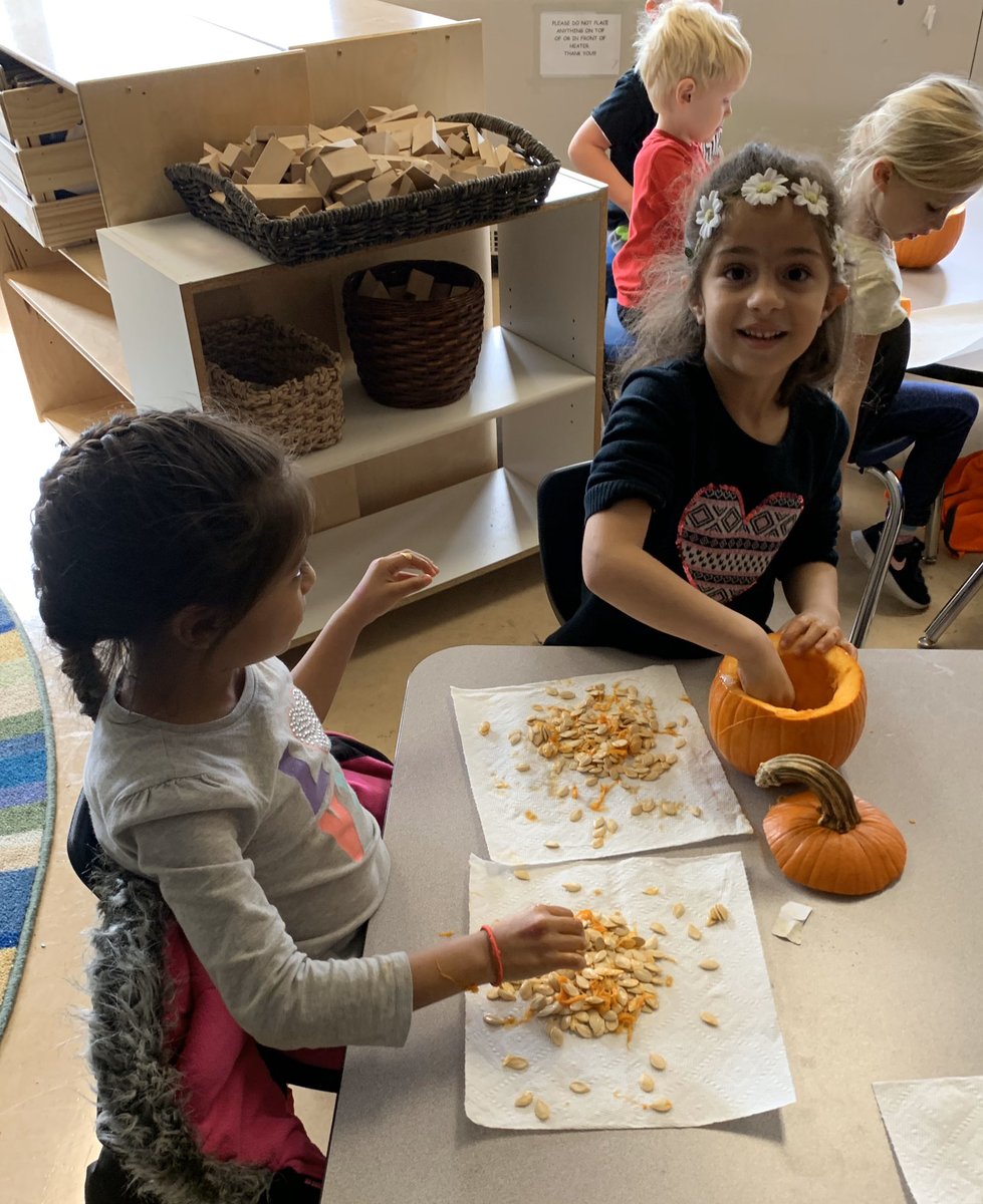 KristinPeoples's tweet image. What’s inside a pumpkin? We found out today. #Exploration #Scienceandmath We counted the seeds and took them home today. #HopewellECS #WEareLakota