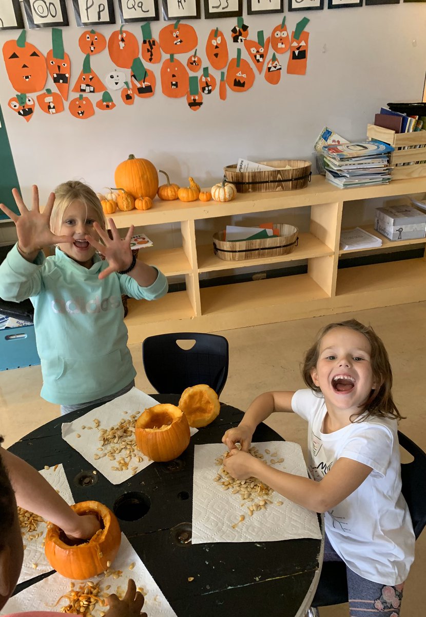 KristinPeoples's tweet image. What’s inside a pumpkin? We found out today. #Exploration #Scienceandmath We counted the seeds and took them home today. #HopewellECS #WEareLakota