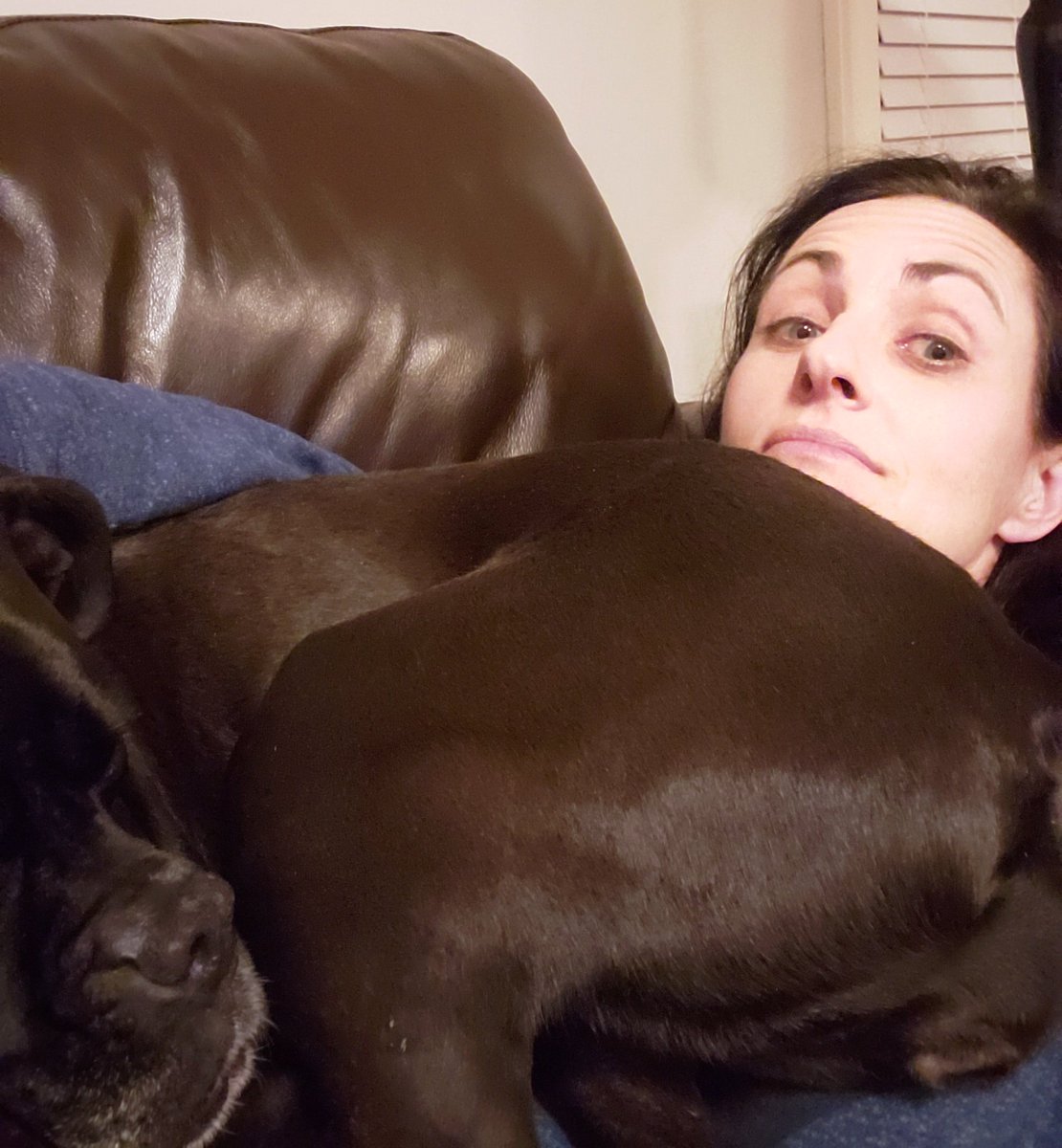 JenLief's tweet image. Sooo cuddly??? Little hard to breathe...