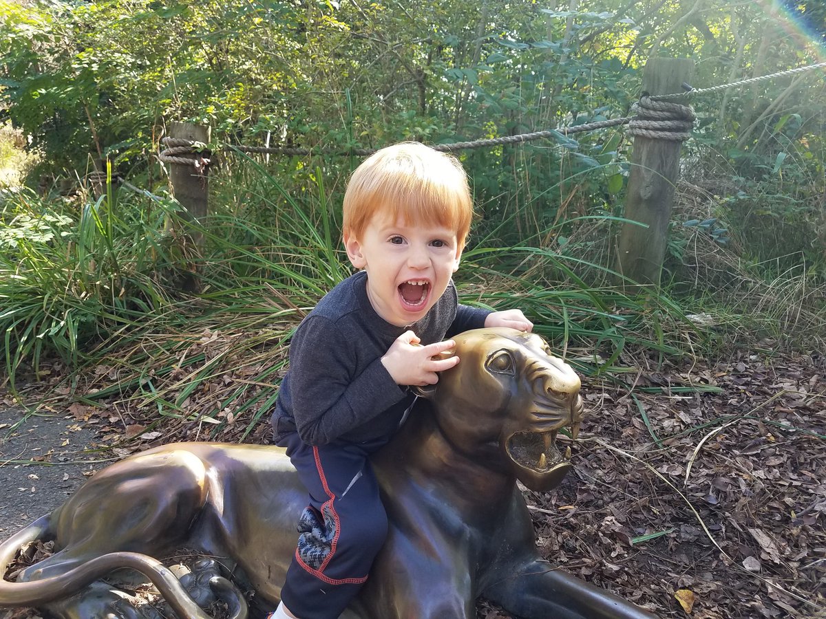 JAntonioScience's tweet photo. Hear me #roar! I love inspiring an appreciation of animals in my little guy 🐆🧡 https://t.co/n3iBGSskk5