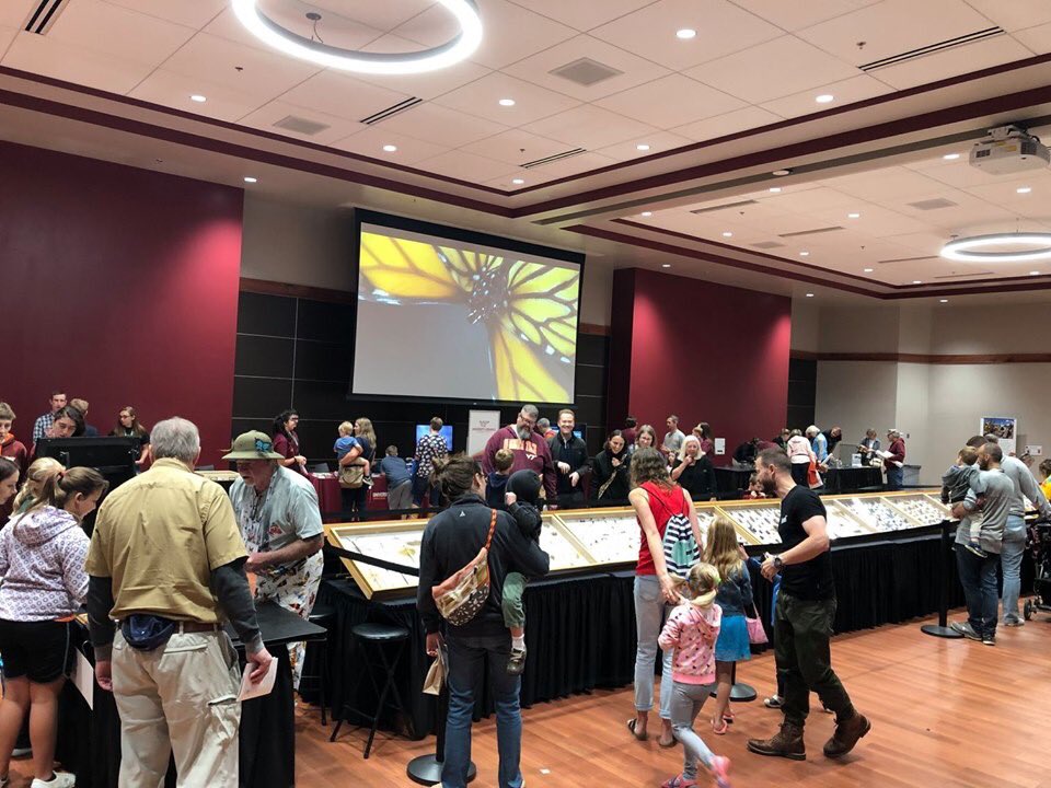 VTLibraries's tweet photo. A great time was had by all at this year’s #BugFest! Check out these photos of our exhibit where kids got to play with 3D models of real insects stitched together from hundreds of thousands of high-resolution photographs. 😮🐞🐝🦋🐛🦗
#HokieBugFest #BugFest2019 https://t.co/gg4s0dSf1i
