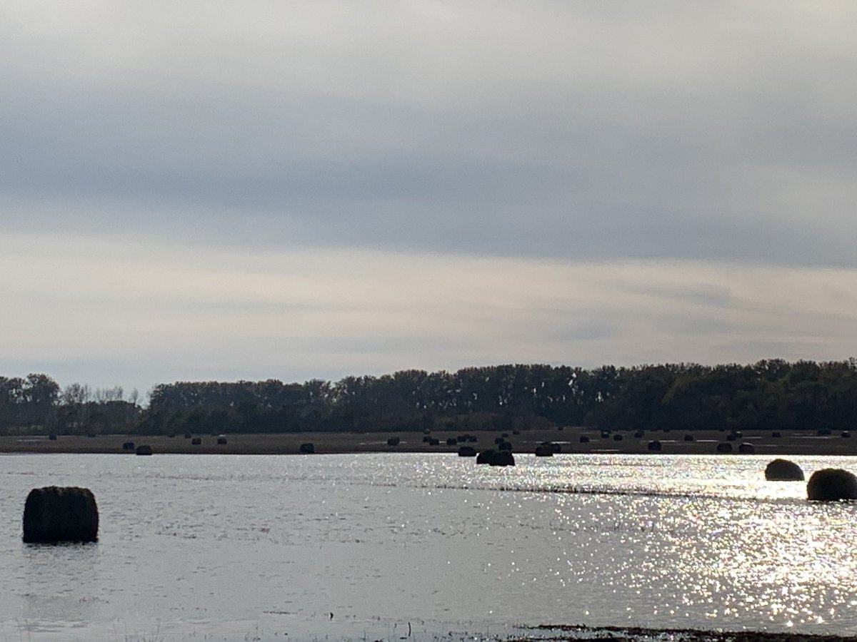 Fishing report:
The bite is light at Hay Bale Bay on Devils Lake.