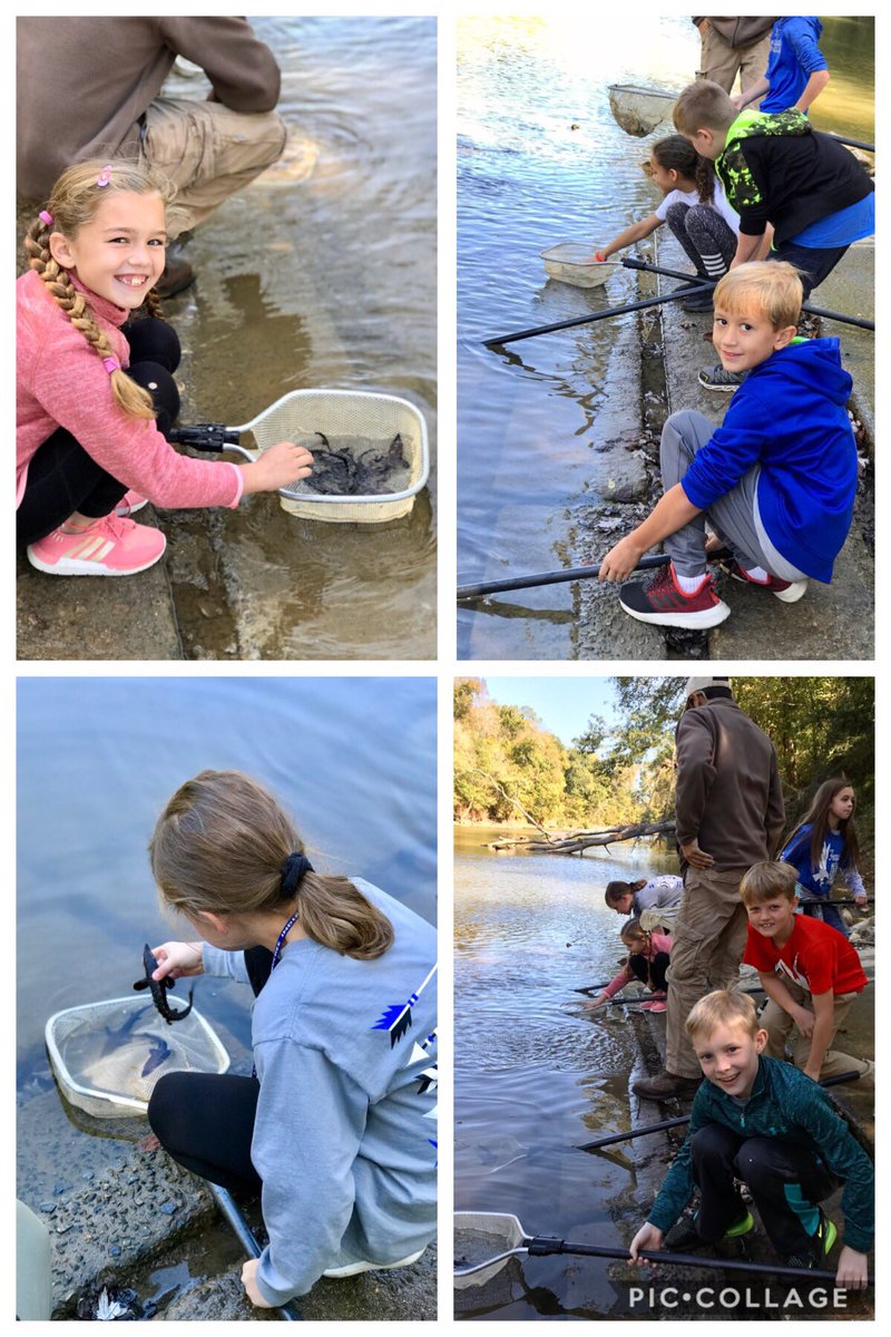 MrsFergusonAES's tweet photo. Today was the 7th annual sturgeon release at AES. Thank you to all involved at Lake Arrowhead for allowing our students to come learn about the sturgeon and have the opportunity to release another generation into our local rivers. It was a blast! #AESthirdgrade #tribeonthemove https://t.co/hT46vBuTfY