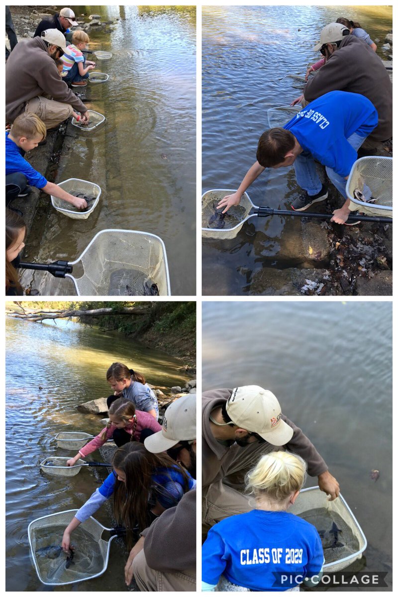 MrsFergusonAES's tweet photo. Today was the 7th annual sturgeon release at AES. Thank you to all involved at Lake Arrowhead for allowing our students to come learn about the sturgeon and have the opportunity to release another generation into our local rivers. It was a blast! #AESthirdgrade #tribeonthemove https://t.co/hT46vBuTfY