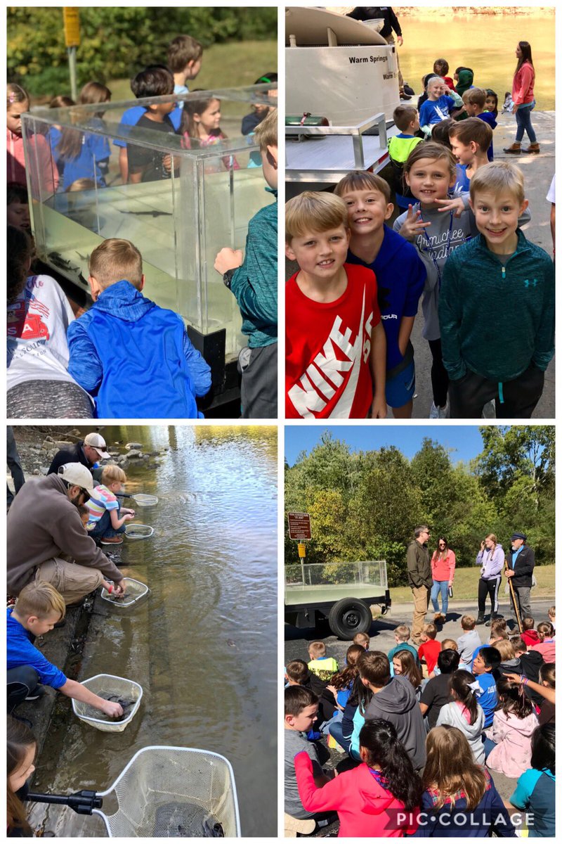 MrsFergusonAES's tweet photo. Today was the 7th annual sturgeon release at AES. Thank you to all involved at Lake Arrowhead for allowing our students to come learn about the sturgeon and have the opportunity to release another generation into our local rivers. It was a blast! #AESthirdgrade #tribeonthemove https://t.co/hT46vBuTfY