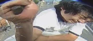 このニュースの犯人、あまりにも躍動感がありすぎて草ww