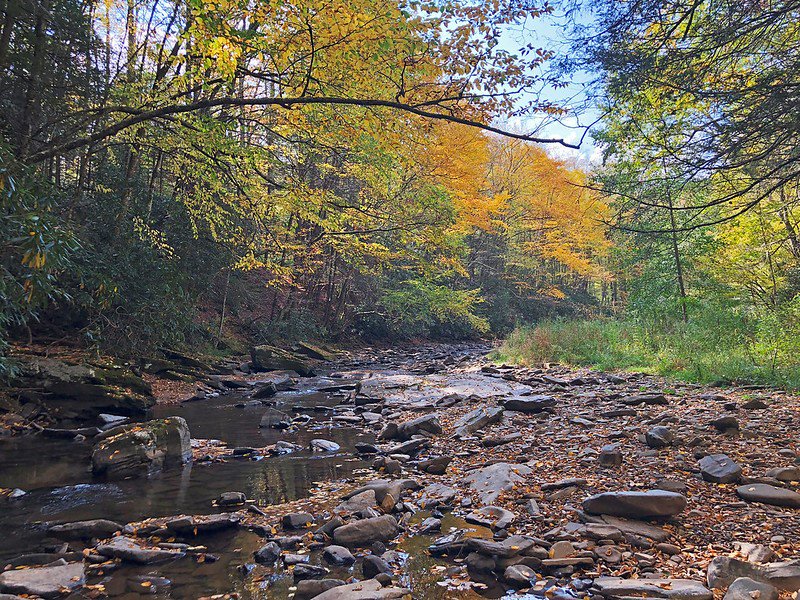 usfs_nrs tweet picture