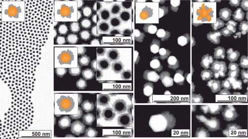 Chemistry of Materials tweet media