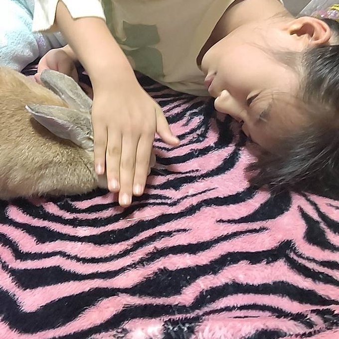 Twitterのコスプレ画像13