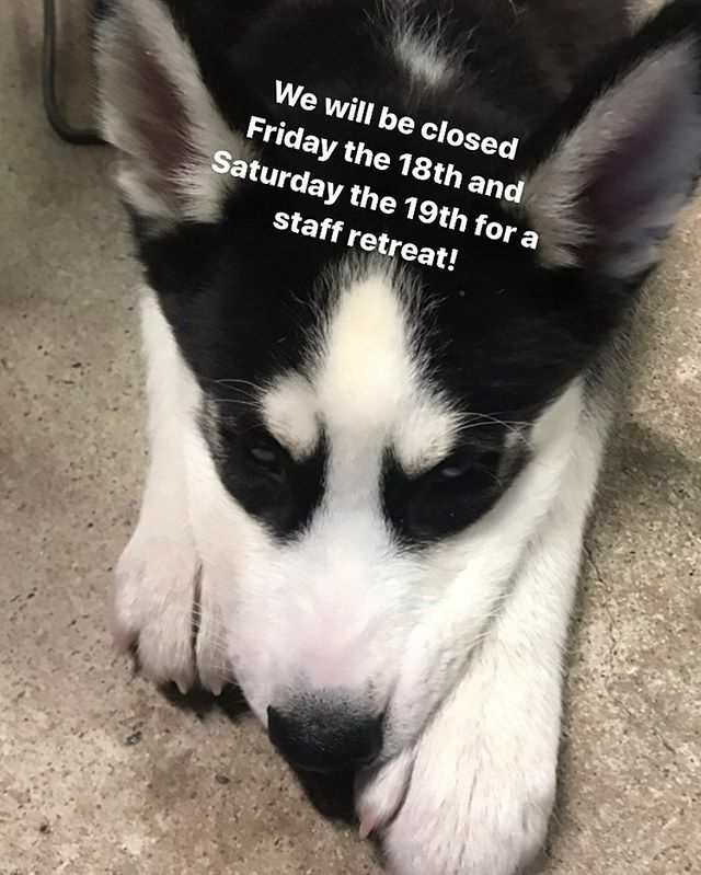 Shop friends, we are closing to do a 4 day bike tour. It’s a mandatory vacation, no exceptions. Kash (the dog) wanted to work, that’s why he is frowning. See y’all Monday! ift.tt/2OWTkUl