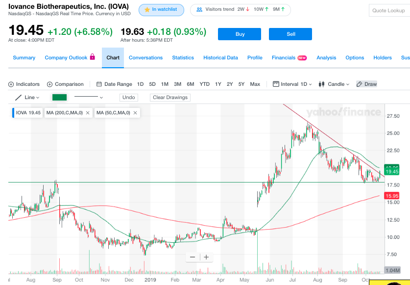 HedgeMind's tweet photo. $IOVA up 6.58% today to $19.45. $IOVA has enjoyed strong support among hedge funds, 8 of top holders hold it as a top 10. It is the 3rd most important position for both Behzad Aghazadeh and Mitchell Blutt who bought shs at current price range in Q2. https://t.co/x2TCpC7v3u https://t.co/2EIUJ40Tui