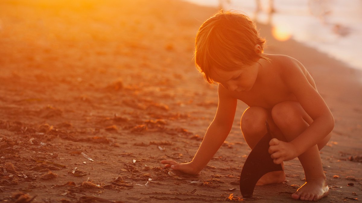 Teach children about their local environment with our Kids Environmental Lesson Plans (KELP). Download the lesson plans today for free! bit.ly/kelplessonplans