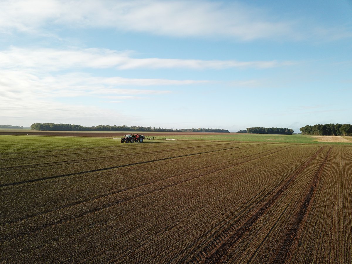 View image on Twitter