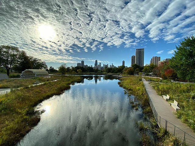 MichaelRealty's tweet image. Beautiful day #chicago #lincolnpark ift.tt/2IYXure