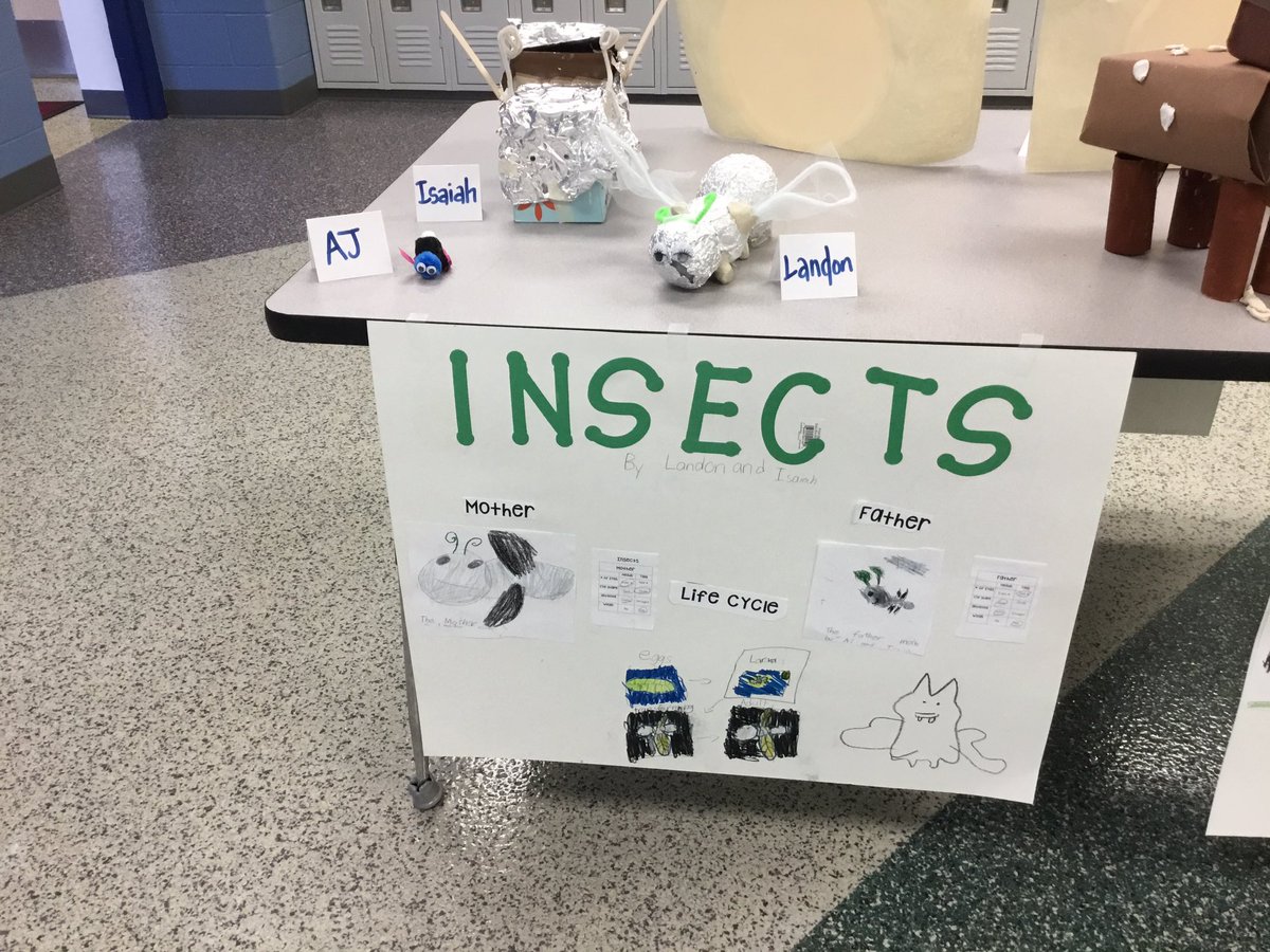 ssyellowjackets's tweet photo. Third grade students actively engaged in their learning while building an understanding of the power of DNA! #sunnysideshining #studentengaged https://t.co/GpaaSRin5e