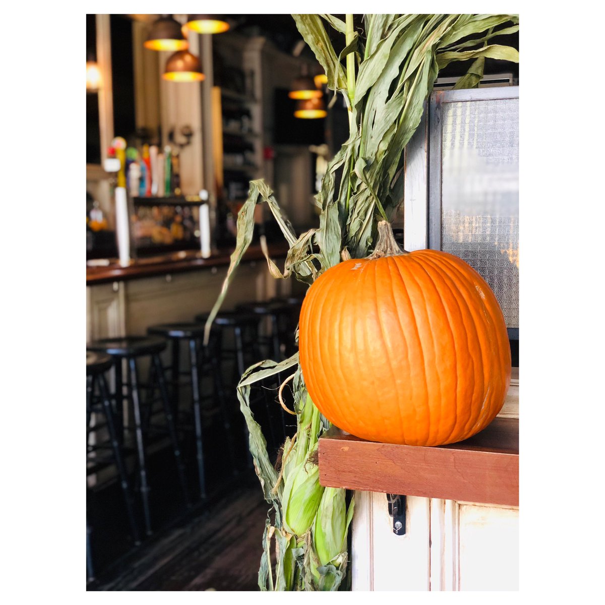 LinenHallNYC's tweet photo. Our fall decorations are gourd-geous and our autumn/winter cocktail menu is getting ready to make it’s debut. Who’s ready for some hot toddies?! https://t.co/r8K4BG0pAK