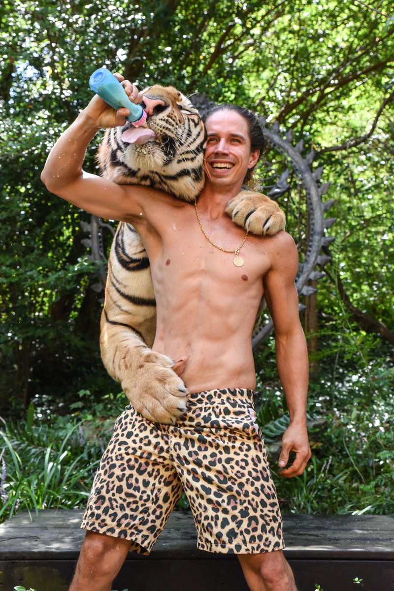 Kody Antle 🐅 tweet media
