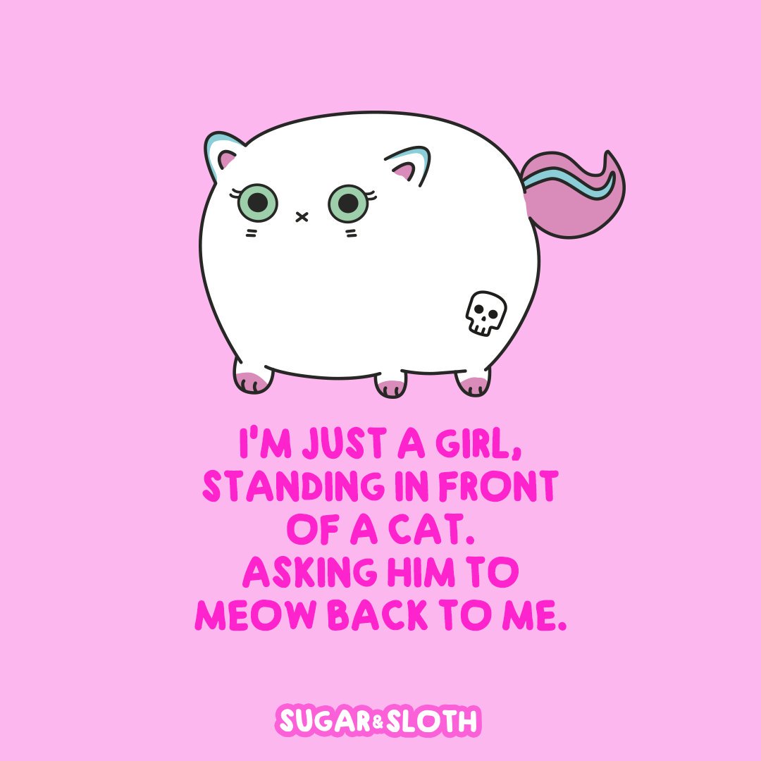 sugarandsloth's tweet image. And he never does. #catladyproblems