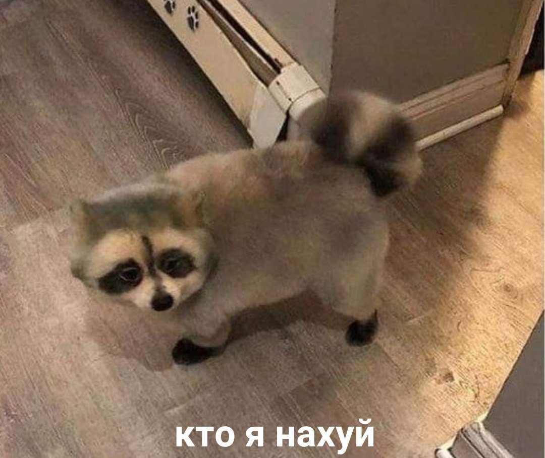 EHHUMf4XUAMB0ZH?format=jpg&name=medium