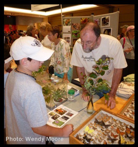 AZInsectFest's tweet photo. Love Lepidoptera? Fancy those beautiful fluttering wings? Check out Southeast Arizona Butterfly Association (SEABA)'s booth this Sunday! SEABA promotes enjoyment, knowledge, and conservation of butterflies here in AZ. #azinsectfest #loveforleps #SEABA #butterfly https://t.co/dVHzjXBeTZ