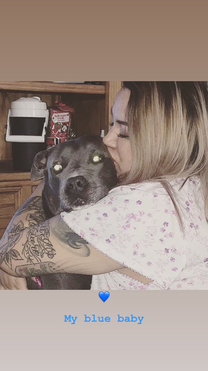 AriiSaurusRex's tweet photo. My heart broke a tiny bit today 
I’ll love you forever. 
My blue baby💙 https://t.co/uPjh4ueMHQ