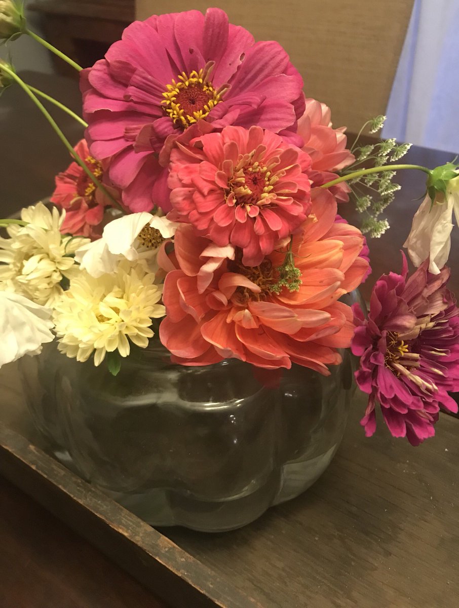 ElderberryFarms's tweet photo. Cut some beautiful flowers before we get a frost. #flowergarden #cutflowers #falldecor https://t.co/QMfaxF9ggE
