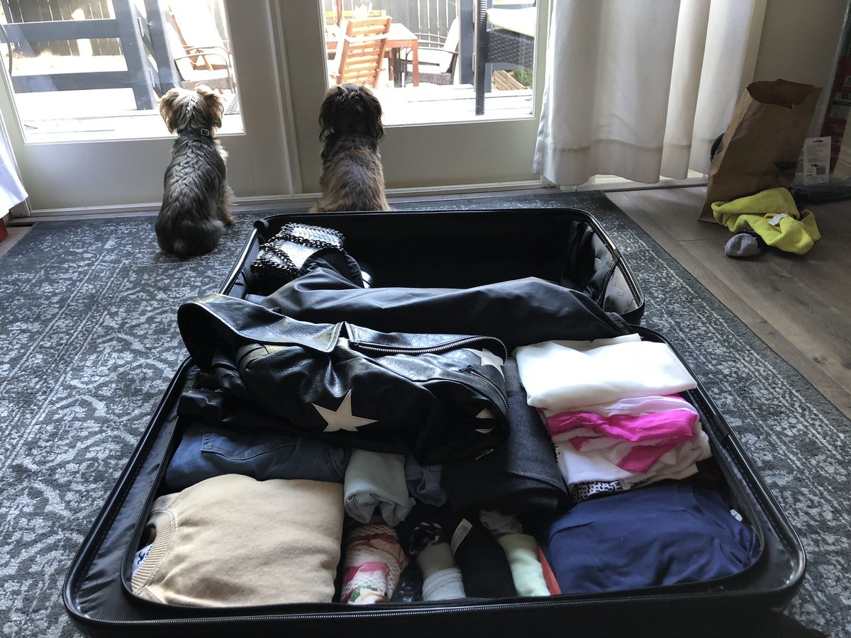 natashajanej's tweet photo. Getting all packed up to fly back to France tomorrow!! Although itโll be short , just a day, I go to Portimao after that๐ Itโll be my first time in Portugal:-)) Canโt wait! Keep you guys all updated throughout the week๐ค #europeboundtomorrow #france #portugal๐ต๐น #packingaway https://t.co/OPoYfBEEjw