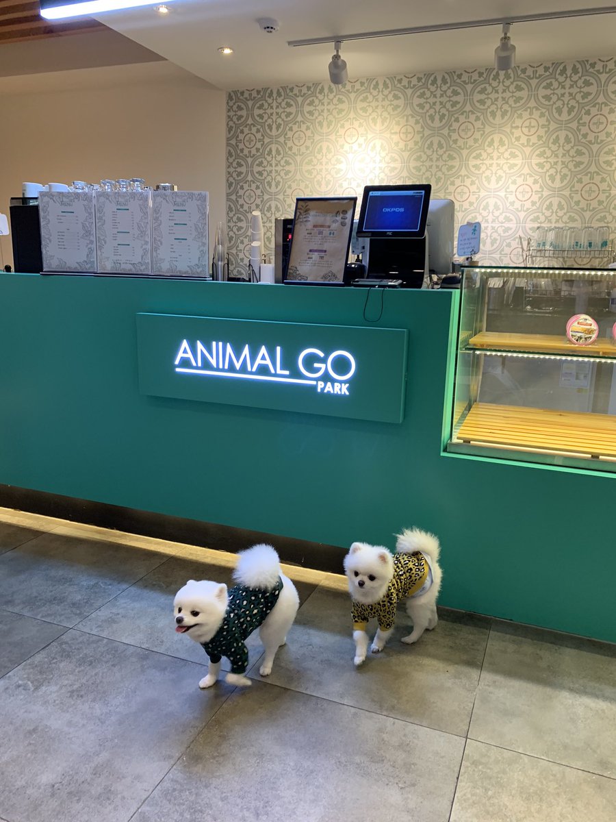 CityAnimalGo's tweet photo. Congrats Keep it up. #애니멀고 #AnimalGo #pet #GOM #고머니 #dogs #cat #반려동물 #SEOUL #혈통분석 #reward ❤️
Follows and likes
https://t.co/mZKcSSdeXZ https://t.co/5mZtKyJog1