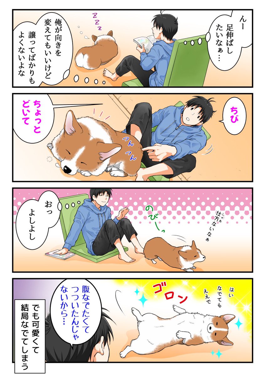 勘違いする犬 