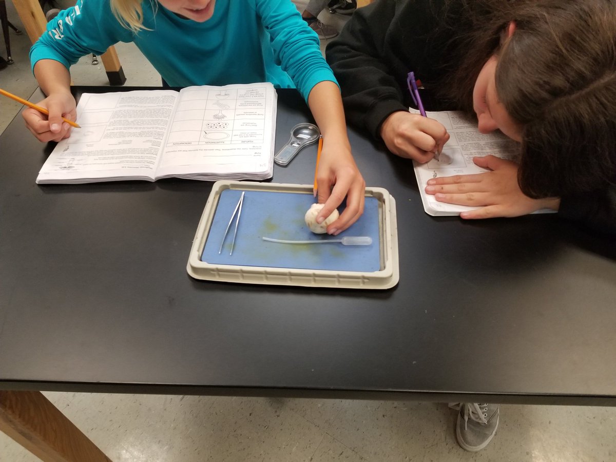 Vicki Thompson tweet media