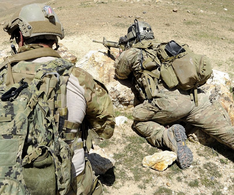 beavertail assault pack