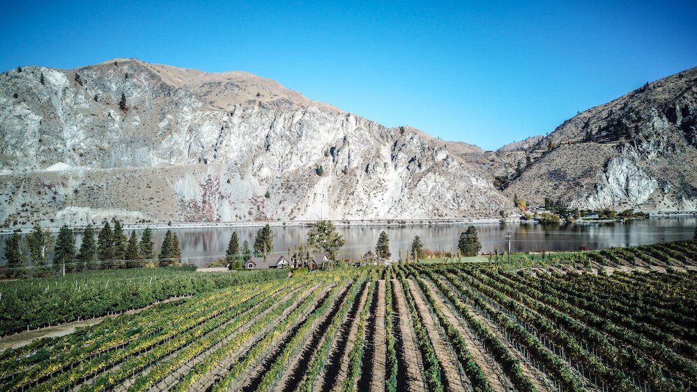 What makes #WAwine the best of both worlds? Hint: it has to do with its latitude and length of light. But to experience first-hand why people are calling @Wa_State_Wine the #NewEpicenter of Wine don't miss their tasting at SommCon San Diego this year!

sommconusa.com