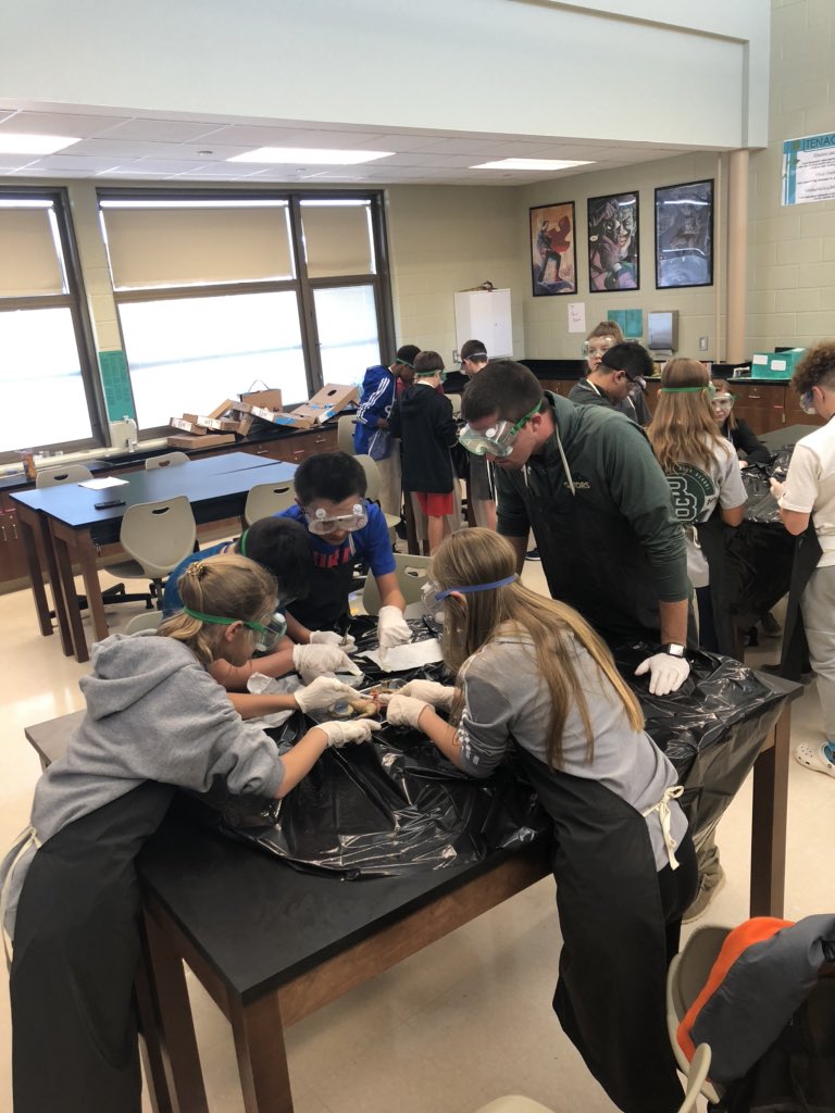 _twest_3's tweet photo. What a day at MGM! 7th graders leading our Town Hall and honoring their peers for exemplifying great HOS. Then we had a group training in frog dissection so they can be the leaders for their peers tomorrow! #ELeducation
#getoutoftheirway #studentled #wearecrew #mgmgators https://t.co/PDz41CakMv