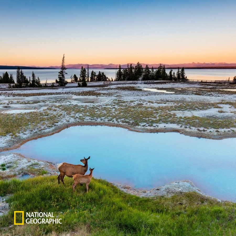 #NG오늘의포토 

그림 같은 옐로 스톤 국립공원의 아침입니다.