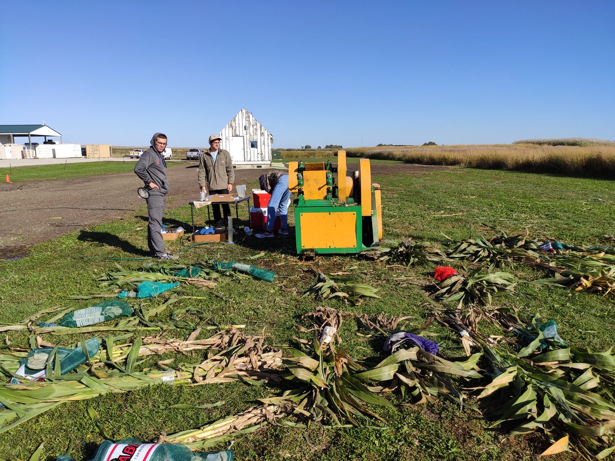 We are done with juicing around 200 bundles of hybrid and sweet sorghum for this year. #Sorghum #CABBIbio