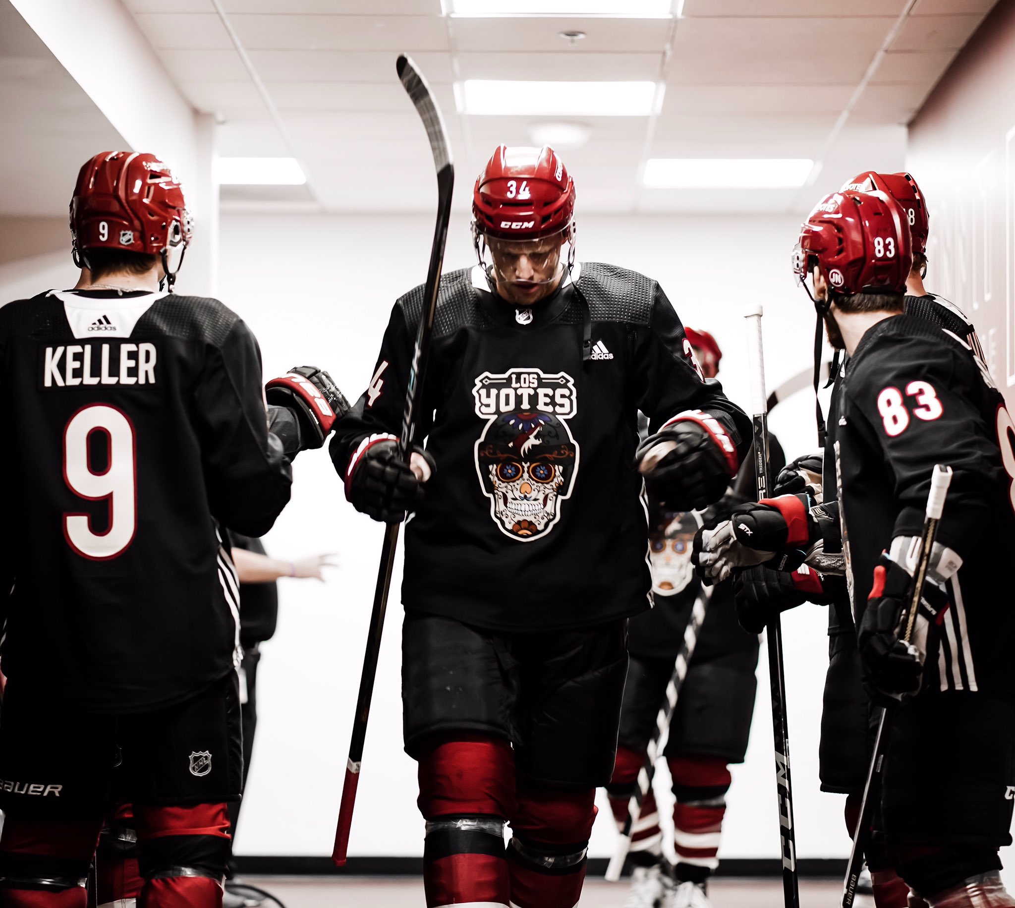 los coyotes jersey