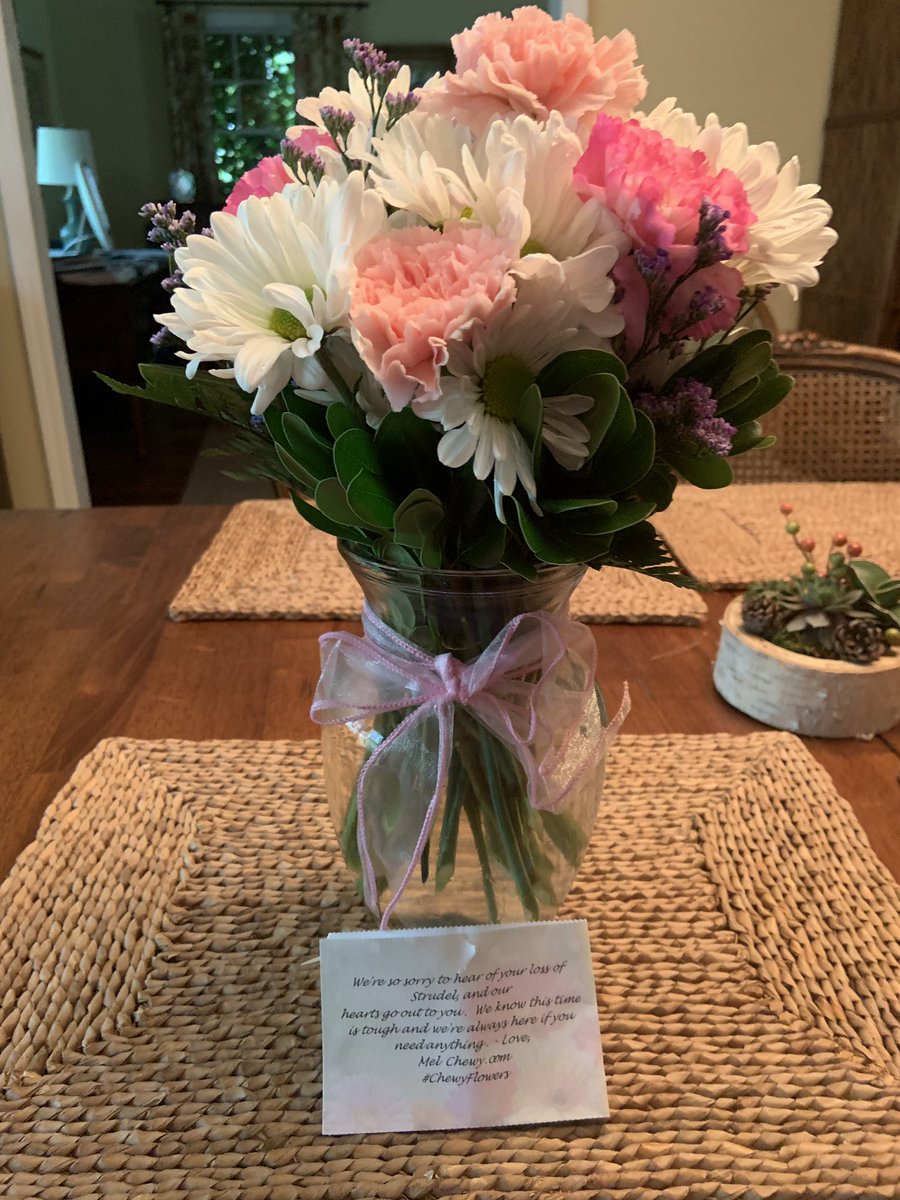 SusanFutter's tweet photo. Thank you Mel #chewyflowers. You guys are the best. https://t.co/dzssJWhunW
