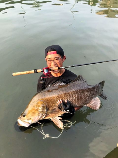 朝日新聞デジタル 金のデジモ 1メートル超 幻の魚 中3がゲット 通い詰め格闘 T Co Zn6vb0dqjr 釣り人の垂涎の的で幻の魚ともいわれるアカメ 高知市の中学生が格闘の末 1mを超える大魚を釣り上げた アカメを約匹展示している桂浜水族館の