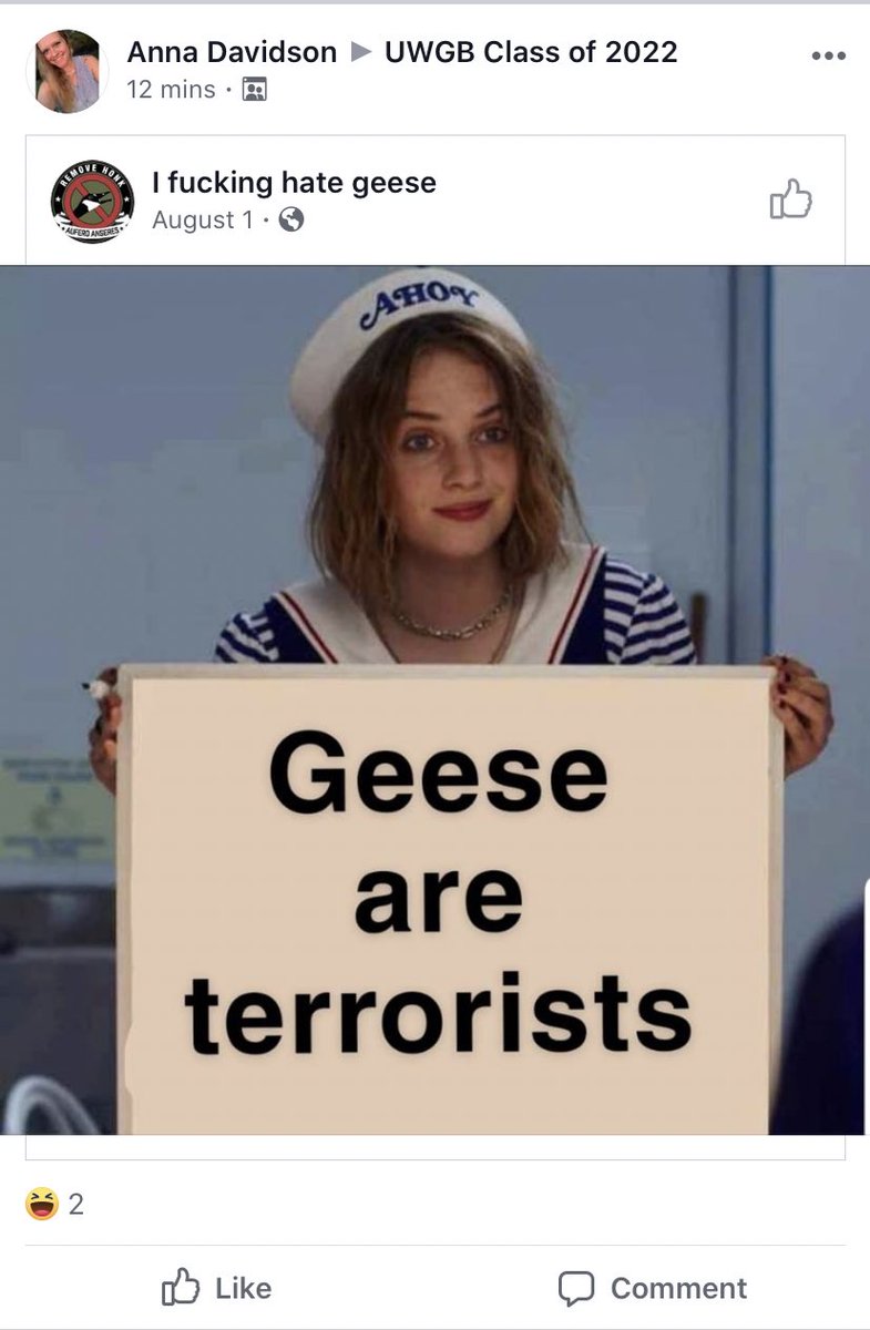 uwgb_goose's tweet image. Fuck u too Anna