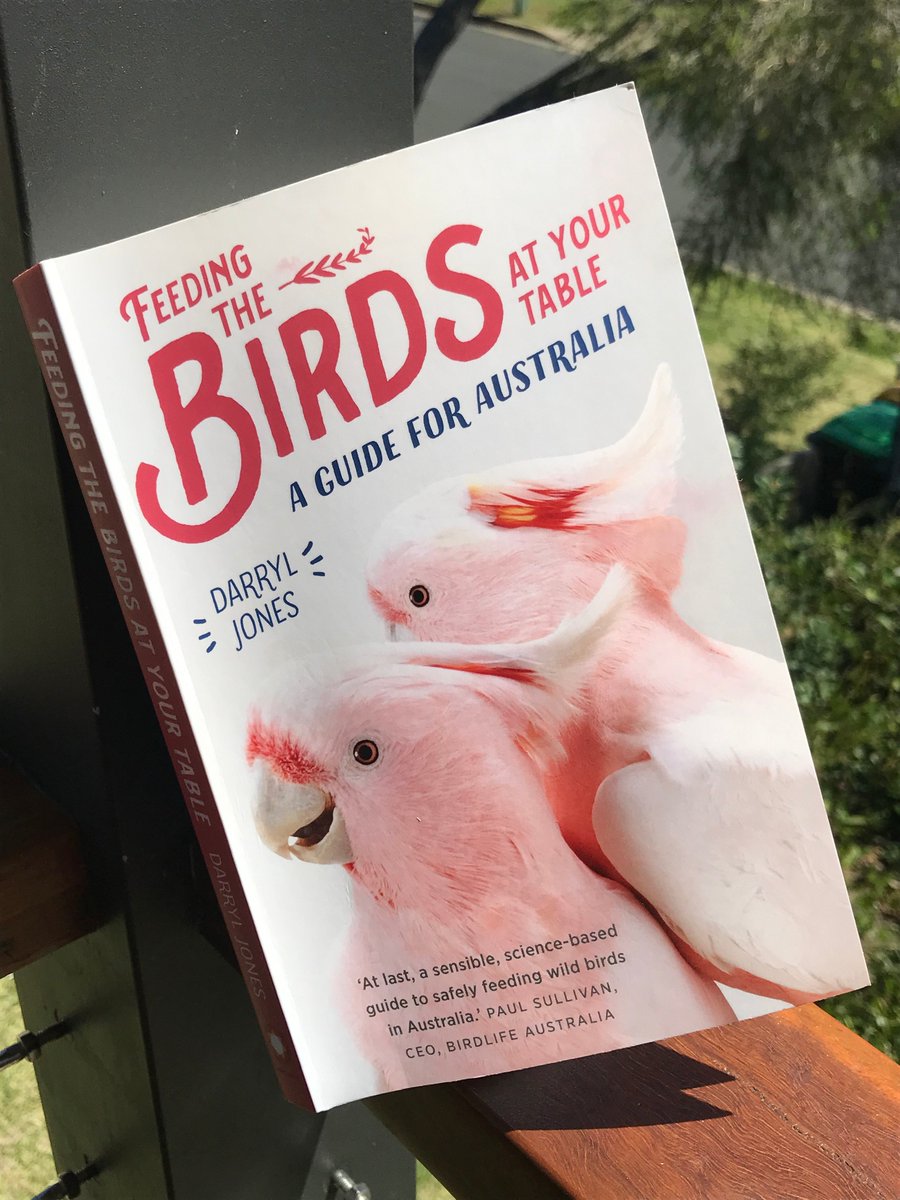 backyardbirdo's tweet photo. Feed birds? Concerned about how to do it responsibly or if it is even possible? Join @MagpiejonesD and myself this Wed night for a conversation about his new book and feeding birds in Australia. Details: https://t.co/jvJpA5q2Ek

#WildOz #birdsatmytable #birdweek #BirdLifeOz https://t.co/fD9FBTicUm