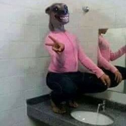 se os fãs da tati ajudarem os fãs da hariany e do lucas na roça deles vão ser muito otários