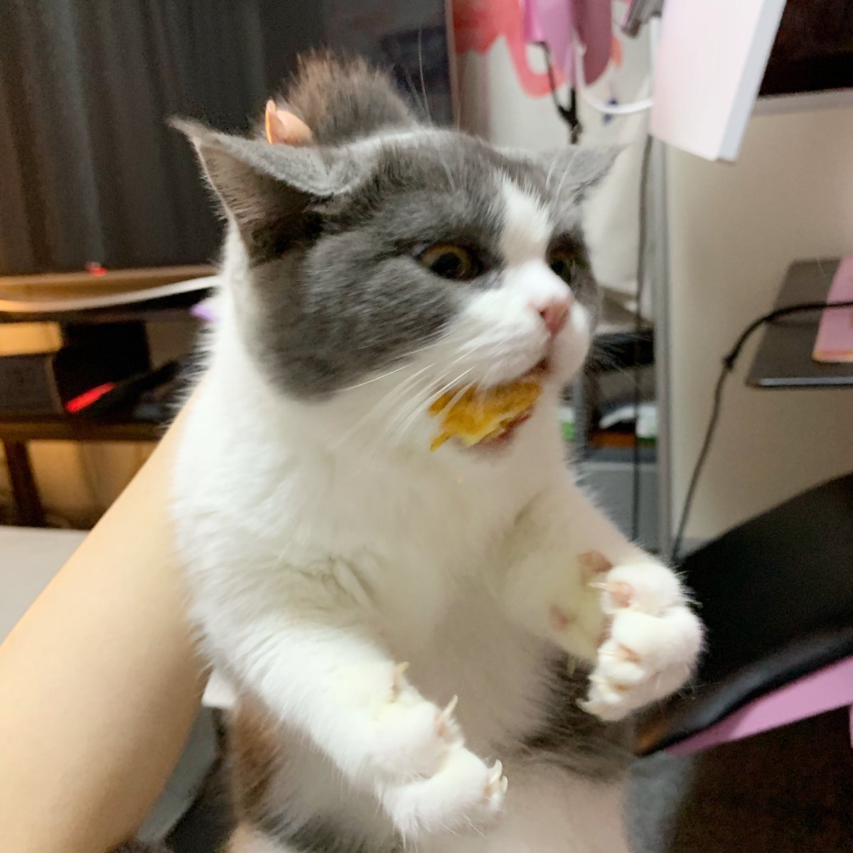 六二二同学 tweet media