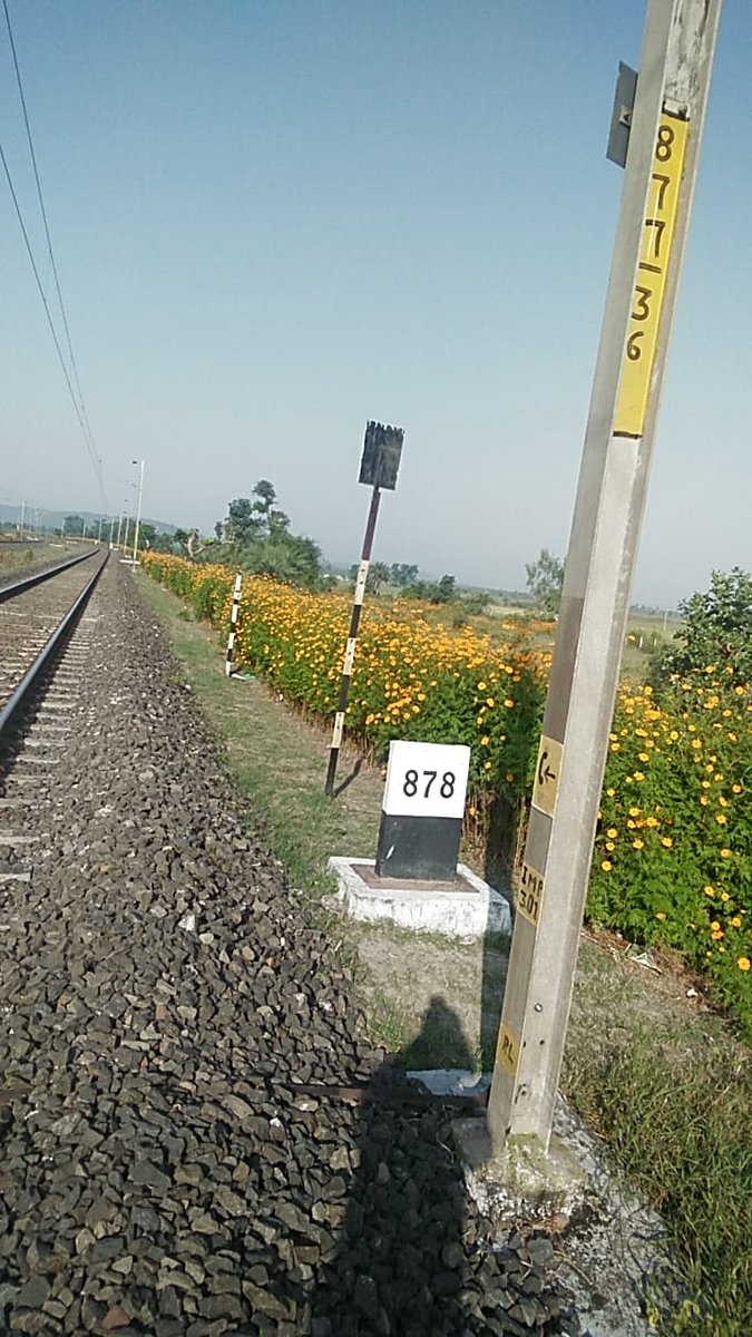 DRM BHOPAL tweet media