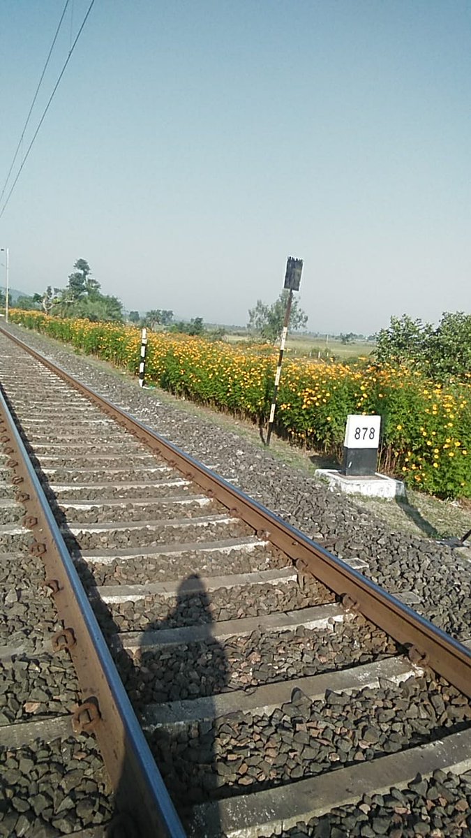 DRM BHOPAL tweet media